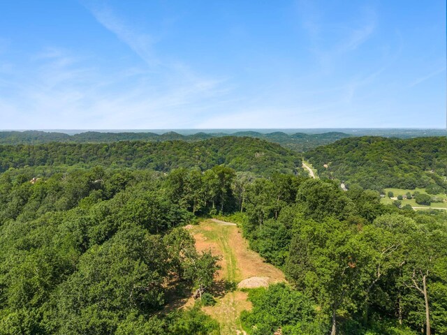 730 Valhalla Ln, Brentwood, TN 37027 - photo 23