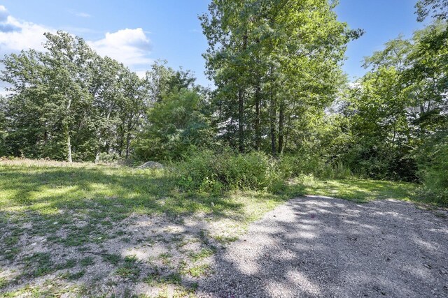 730 Valhalla Ln, Brentwood, TN 37027 - photo 18