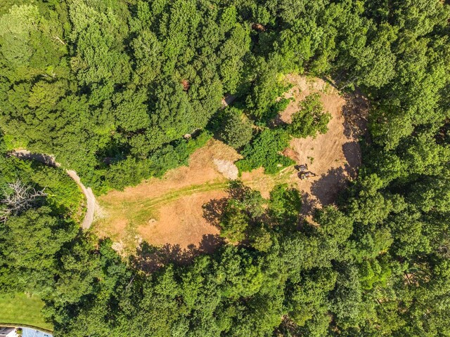 730 Valhalla Ln, Brentwood, TN 37027 - photo 6