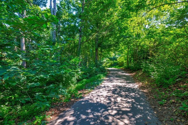 730 Valhalla Ln, Brentwood, TN 37027 - photo 14