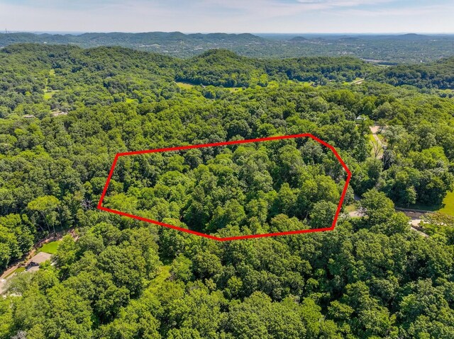 730 Valhalla Ln, Brentwood, TN 37027 - photo 4