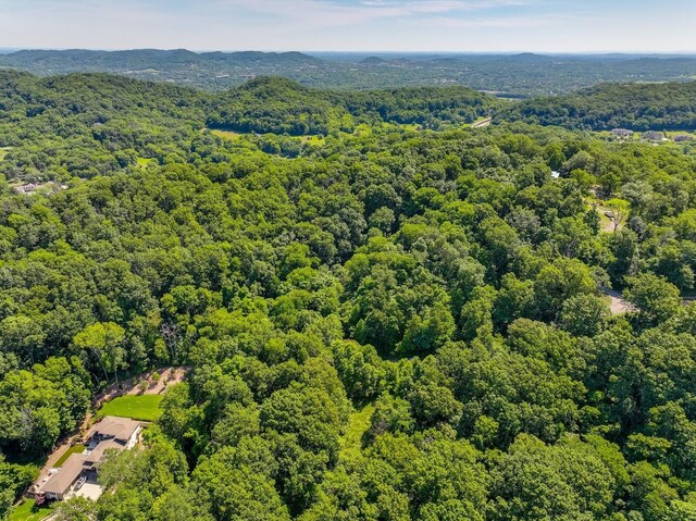 730 Valhalla Ln, Brentwood, TN 37027 - photo 16