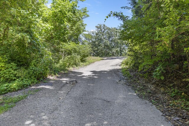 730 Valhalla Ln, Brentwood, TN 37027 - photo 31