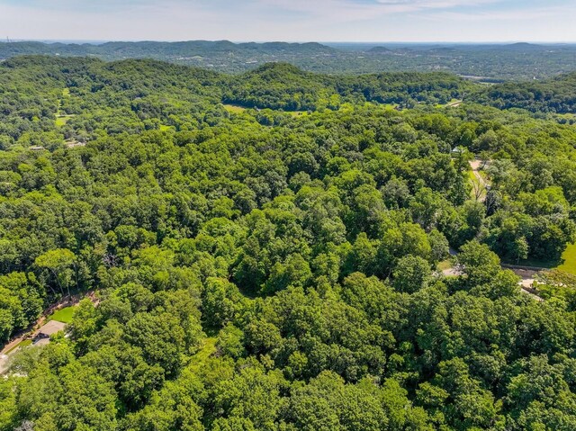 730 Valhalla Ln, Brentwood, TN 37027 - photo 28