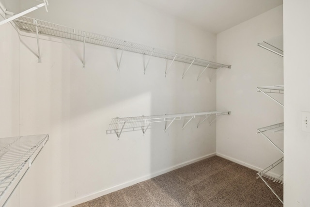2040 Belshire Way, Spring Hill, TN 37174 - spacious closet with carpet flooring