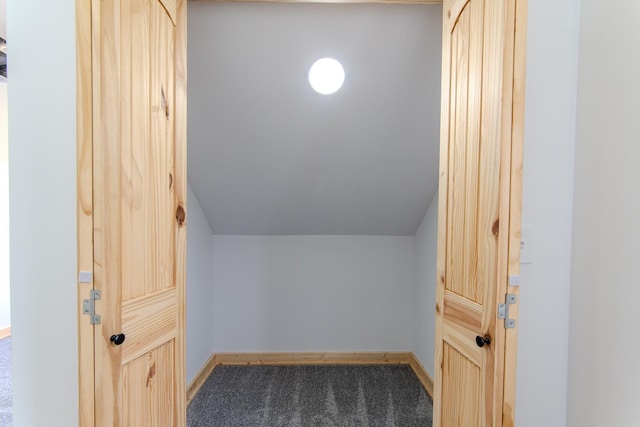 619 Bridgeview Cv, Bath Springs, TN 38311 - spacious closet with carpet floors and vaulted ceiling