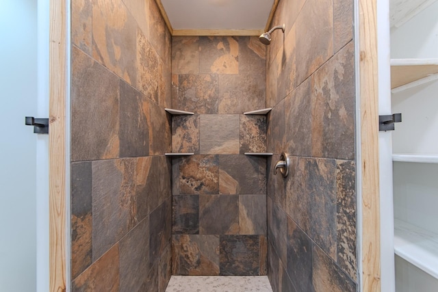 619 Bridgeview Cv, Bath Springs, TN 38311 - bathroom view of a tile shower