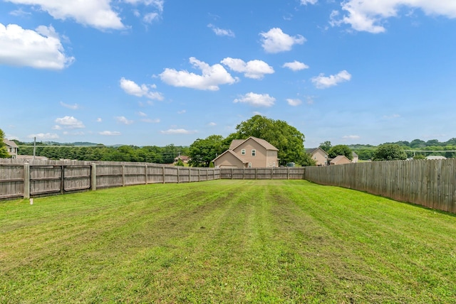 1305 Standing Stone Cir, Columbia, TN 38401 - view of yard