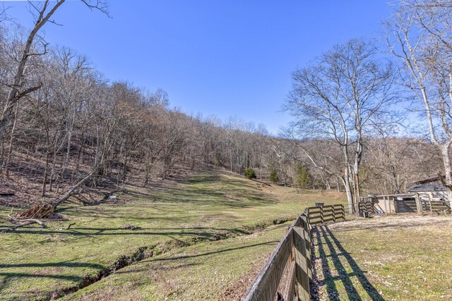 5312 Wiley Hollow Rd, Culleoka, TN 38451 - view of yard featuring a view of trees