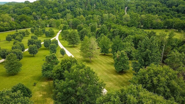 6484 Lickton Pike, Goodlettsville, TN 37072 - photo 74