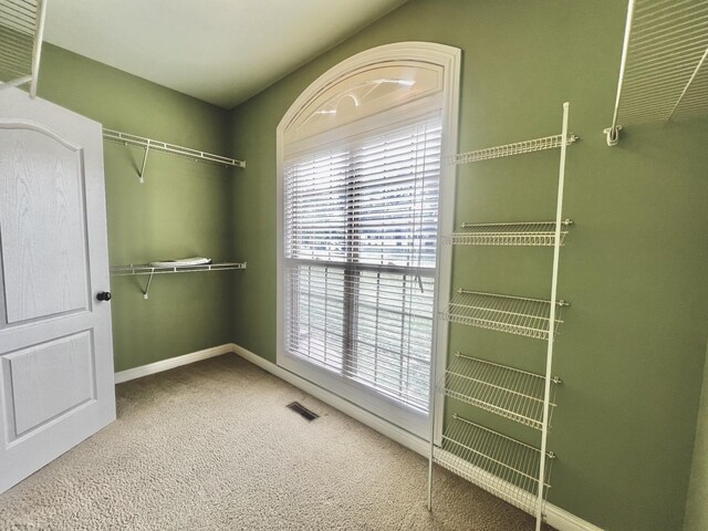 102 Spring View Dr, Cottontown, TN 37048 - photo 30