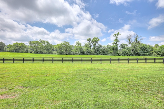 2117 Southern Preserve Ln, Franklin, TN 37064 - view of yard featuring a view of rural / pastoral area