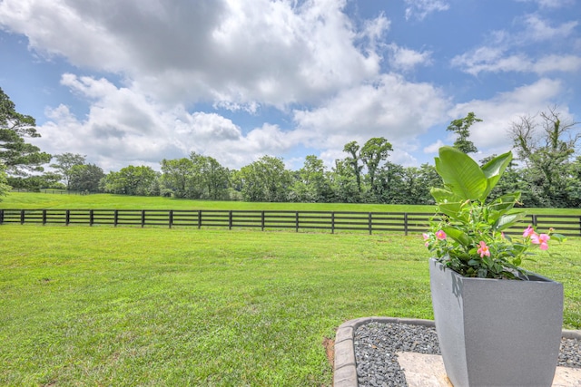 2117 Southern Preserve Ln, Franklin, TN 37064 - view of yard with a view of countryside