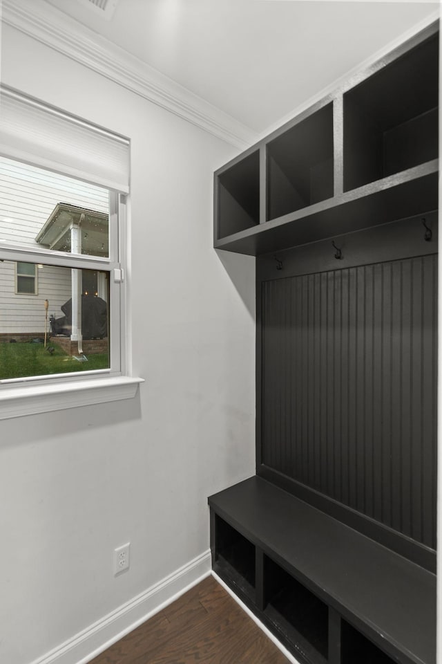 2122 Notchleaf Rd, Antioch, TN 37013 - mudroom featuring dark wood-style flooring, ornamental molding, and baseboards