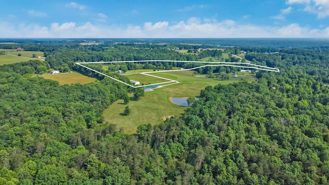 4250 Standing Rock Rd, Jamestown, TN 38556 - aerial view of property's location featuring a heavily wooded area, property parcel outlined, and a large body of water