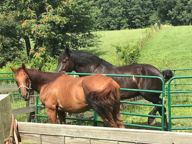 4250 Standing Rock Rd, Jamestown, TN 38556 - view of stable