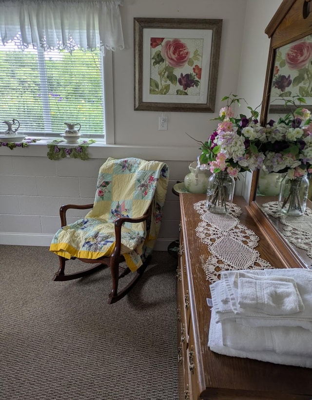 4250 Standing Rock Rd, Jamestown, TN 38556 - sitting room featuring carpet