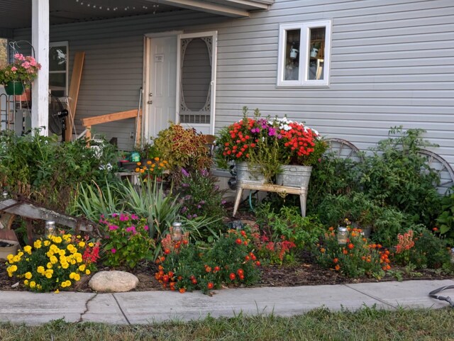4250 Standing Rock Rd, Jamestown, TN 38556 - view of entrance to property