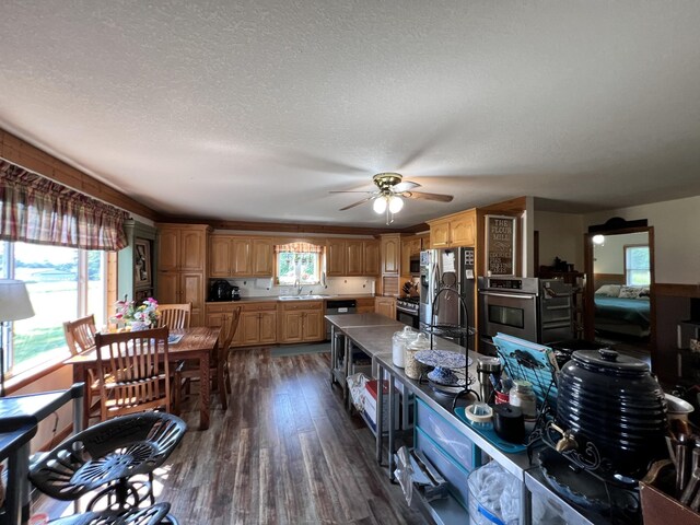 4250 Standing Rock Rd, Jamestown, TN 38556 - kitchen with appliances with stainless steel finishes, dark wood-type flooring, ceiling fan, a sink, and a textured ceiling