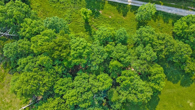 4250 Standing Rock Rd, Jamestown, TN 38556 - aerial view of property and surrounding area