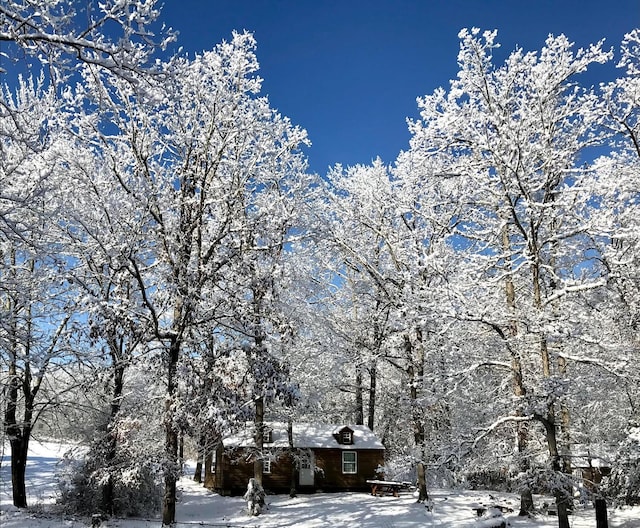 4250 Standing Rock Rd, Jamestown, TN 38556 - view of community