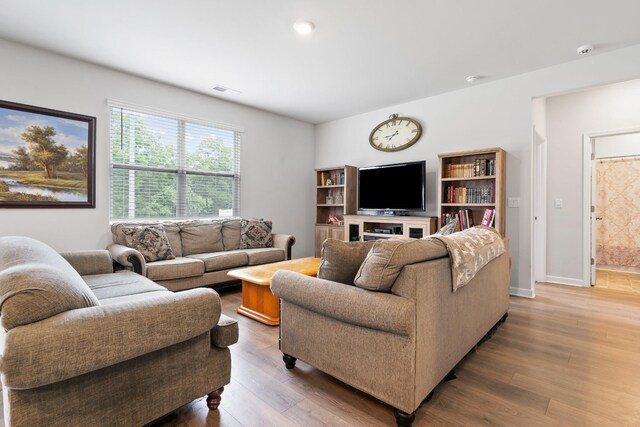5073 Hunters Village Dr, Lebanon, TN 37087 - living room with light wood-style floors