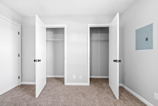 361 Peabody Dr, Clarksville, TN 37042 - unfurnished bedroom with electric panel, carpet, and two closets