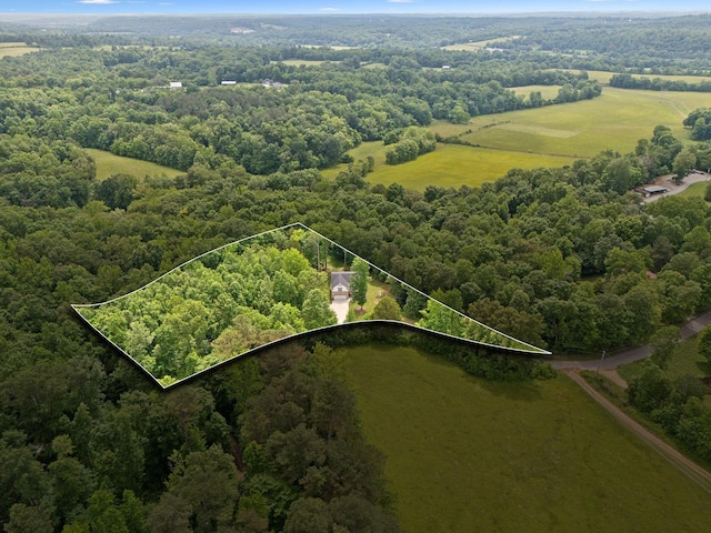3650 Riggins Rd, Cumberland Furnace, TN 37051 - aerial view of property's location featuring a forest and property boundaries highlighted