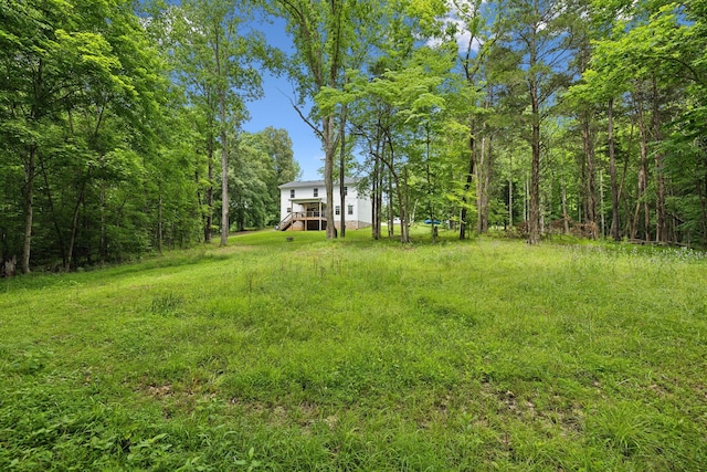 3650 Riggins Rd, Cumberland Furnace, TN 37051 - view of yard featuring a view of trees and a wooden deck