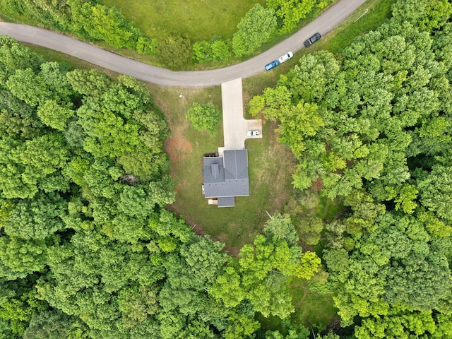 3650 Riggins Rd, Cumberland Furnace, TN 37051 - aerial view of property and surrounding area