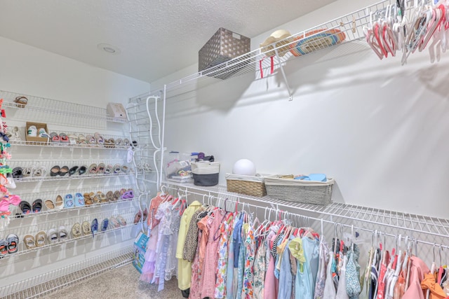 1713 Hollow Oak Dr, Lebanon, TN 37087 - view of spacious closet