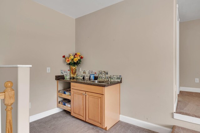 790 Blooming Grove Rd, Pulaski, TN 38478 - photo 56
