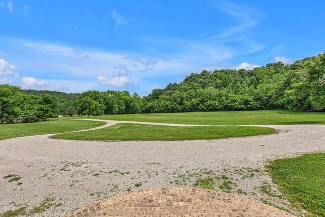 790 Blooming Grove Rd, Pulaski, TN 38478 - photo 15