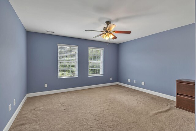 790 Blooming Grove Rd, Pulaski, TN 38478 - photo 52
