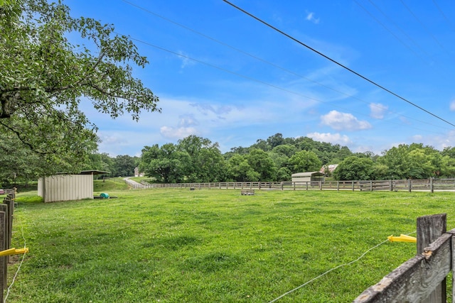 790 Blooming Grove Rd, Pulaski, TN 38478 - photo 11