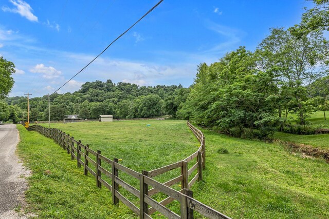 790 Blooming Grove Rd, Pulaski, TN 38478 - photo 13
