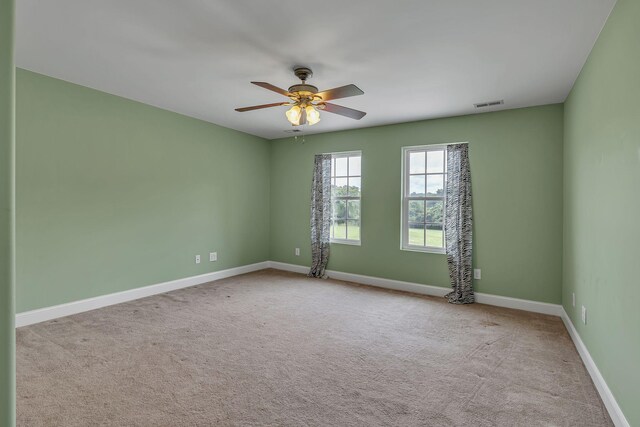 790 Blooming Grove Rd, Pulaski, TN 38478 - photo 53