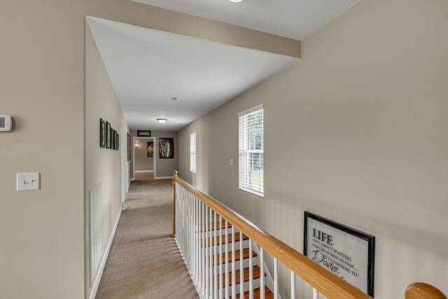 790 Blooming Grove Rd, Pulaski, TN 38478 - photo 50