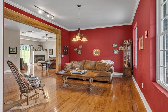 790 Blooming Grove Rd, Pulaski, TN 38478 - photo 27