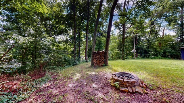 3102 Vanleer Hwy, Charlotte, TN 37036 - photo 31
