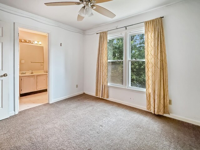 6665 Autumnwood Dr, Nashville, TN 37221 - photo 23