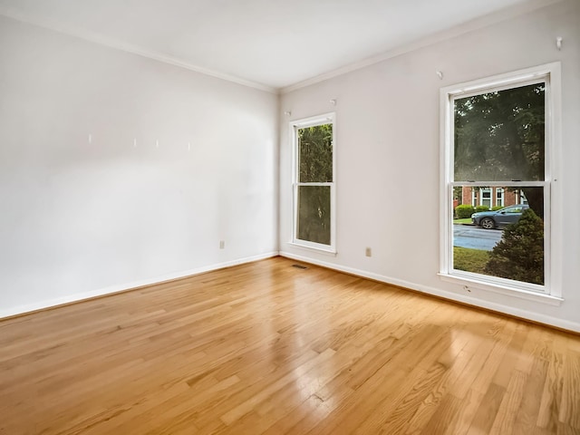6665 Autumnwood Dr, Nashville, TN 37221 - photo 4