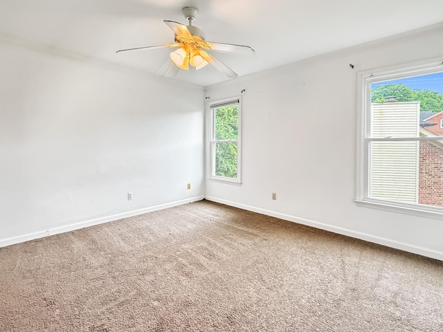 6665 Autumnwood Dr, Nashville, TN 37221 - photo 13