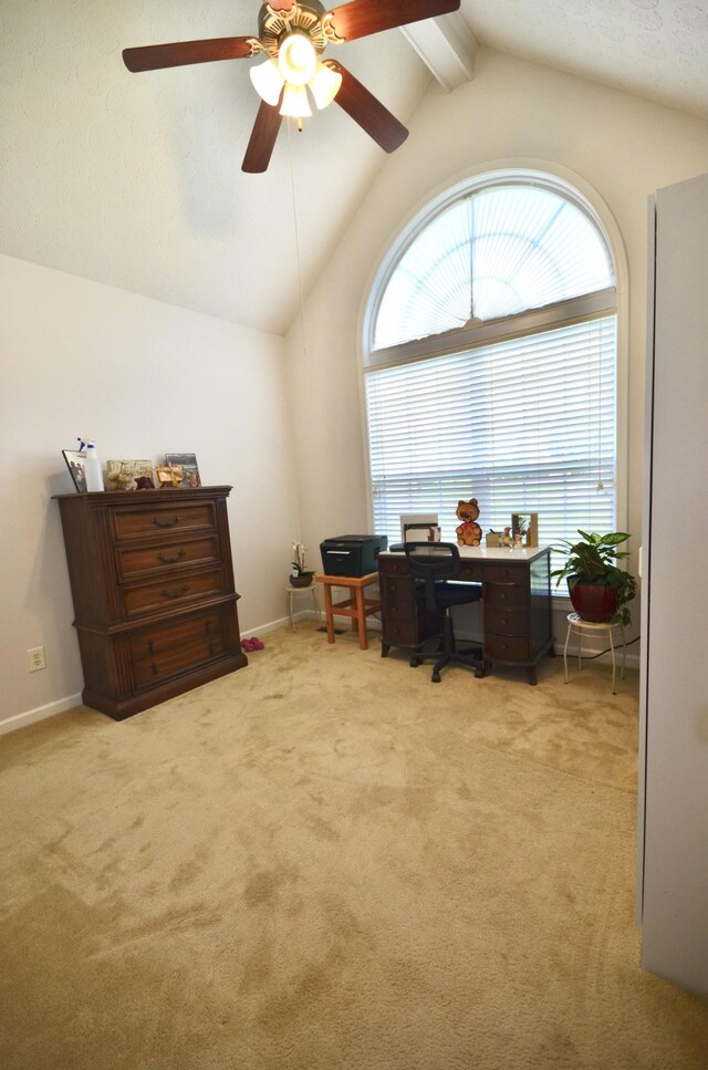 564 Callie Ct, Gallatin, TN 37066 - photo 27