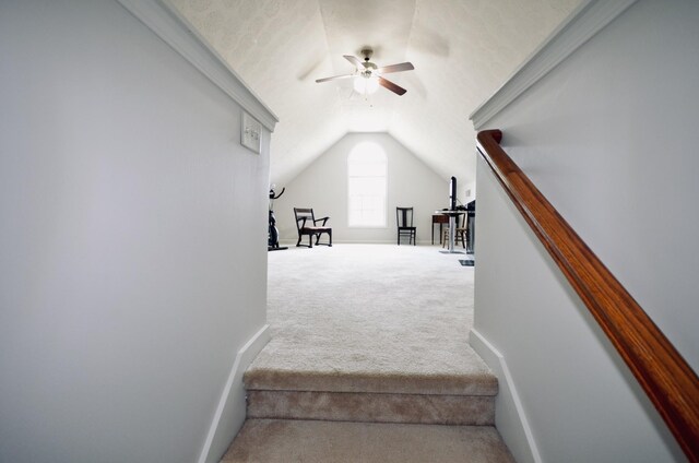 564 Callie Ct, Gallatin, TN 37066 - photo 32