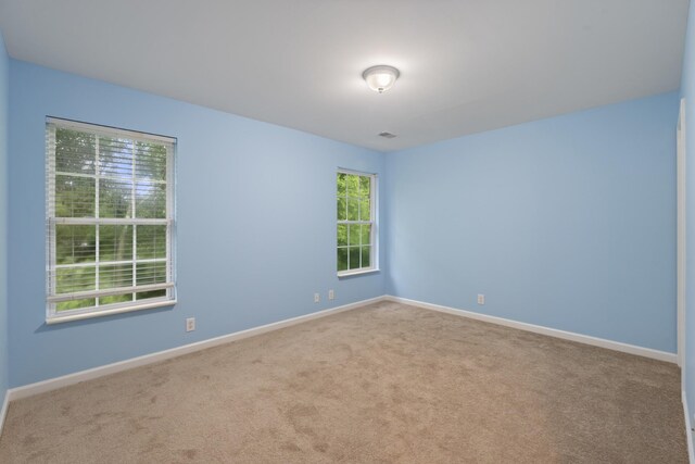 117 Herons Nest Ln, Hendersonville, TN 37075 - photo 23