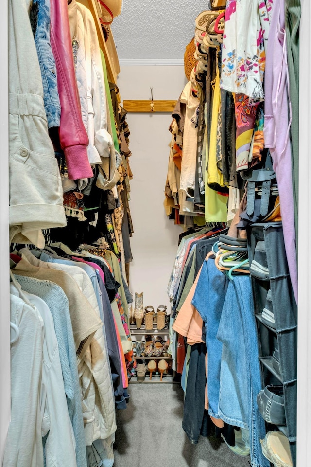 130 Shane Lee Cir, Dover, TN 37058 - walk in closet featuring carpet