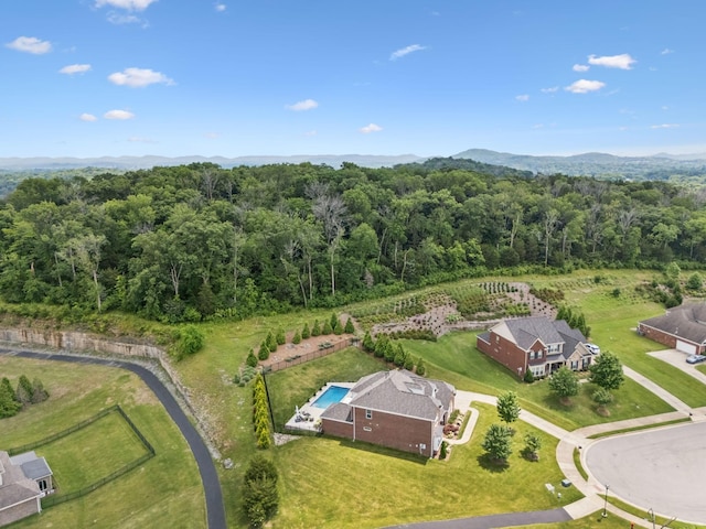 9371 Bournsmouth Ct, Brentwood, TN 37027 - photo 89