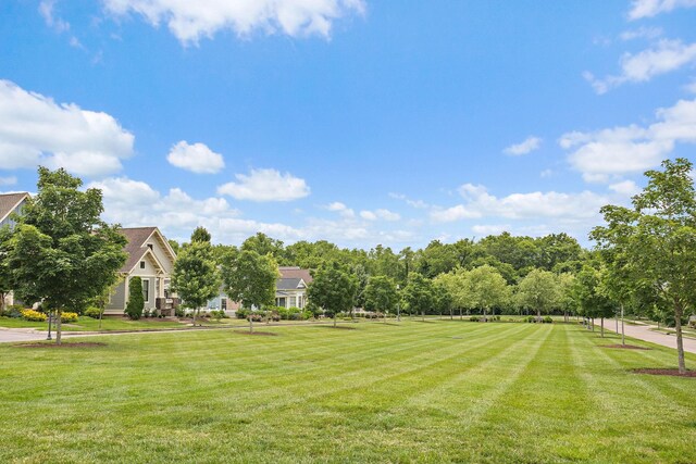 1012 Rochelle Ave, Thompsons Station, TN 37179 - photo 14