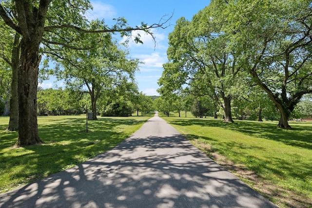1800 Grey Pointe Dr, Brentwood, TN 37027 - photo 86